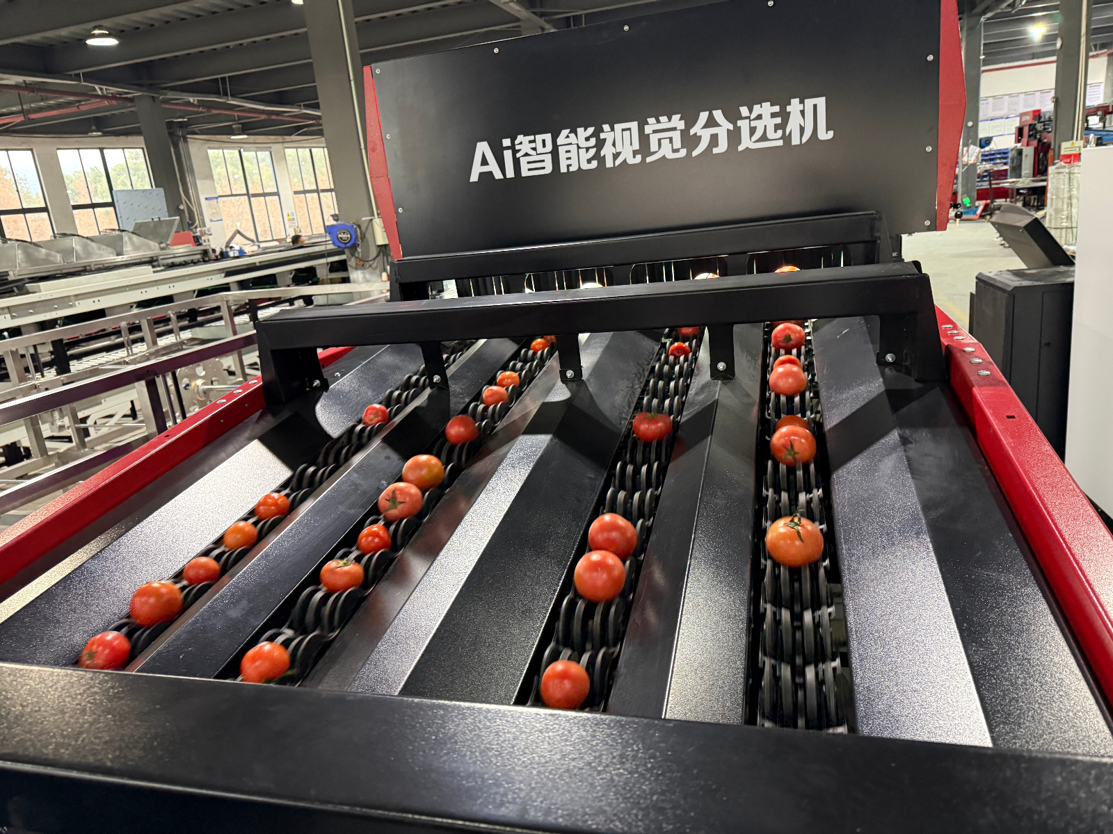 微信图片_2026-01-20_163003_383.jpg