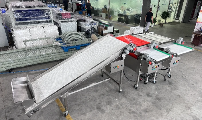 Introducing the JC SORT Blueberry Sizer – Precision Sorting for Superior Quality!