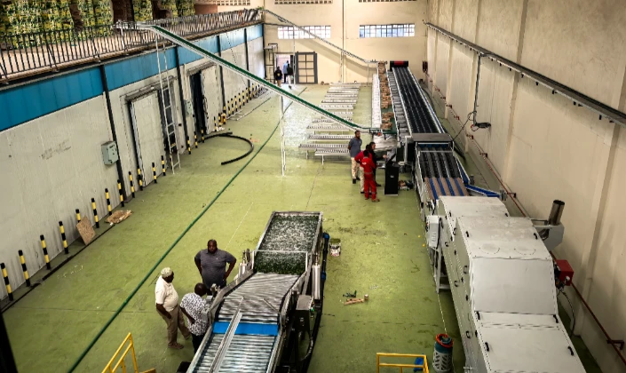 Avocado weight grader successfully installed in Kenya