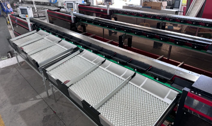 Advantages of JC SORT Manual Feeding Sweet Potato Grading Machine