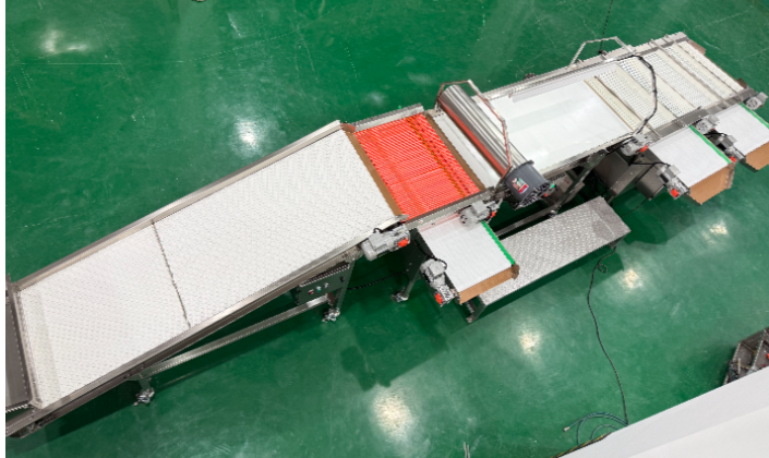 Canadian-Spec Custom Belt-Type Blueberry Grader: Integrated 304 Stainless Steel Sorting Solution