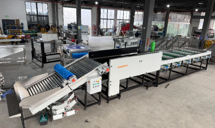 Advantages of garlic cleaning and grading machine