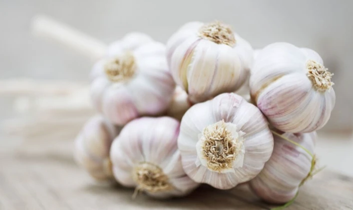 Why are garlic size grading machines so popular?