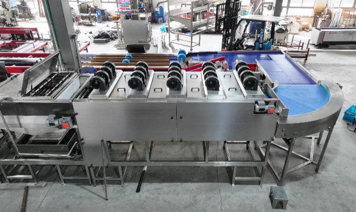 The mango washing, air-drying and weight grading machine customized for American customers is ready.