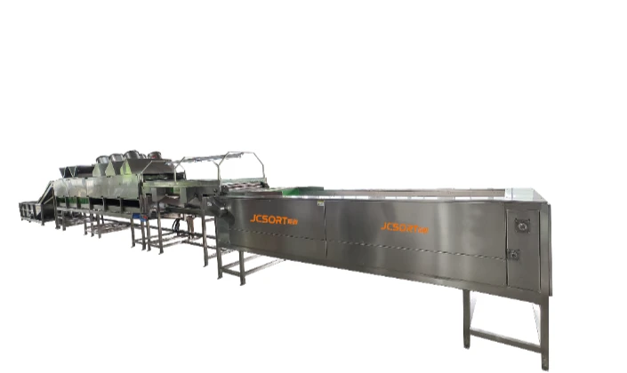 JCSORT lemon washing, waxing and sizing line: Empowering lemon processing, unlocking both quality an
