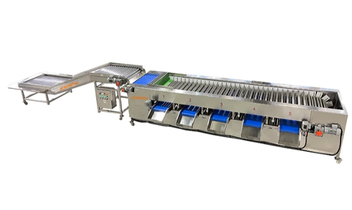 Applicable scenarios of cucumber size sorting line