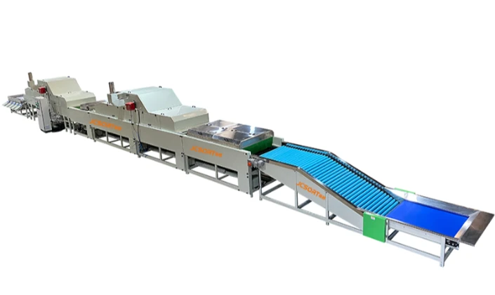 Production process of tangerine washing, waxing and size sorting line