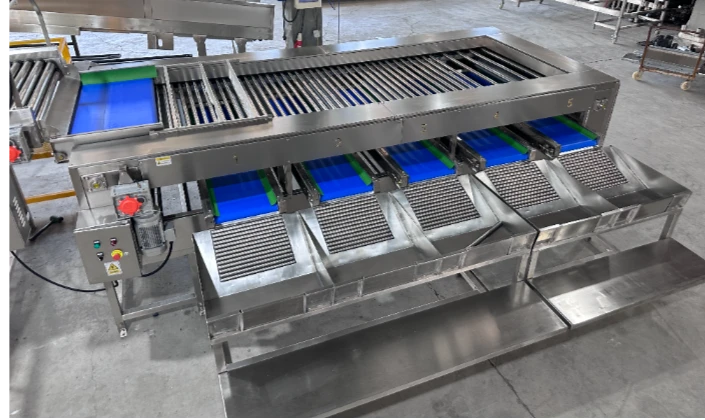 JCSORT-China's professional sweet potato washing, drying and sorting equipment manufacturer