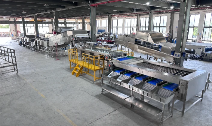 JCSORT Sweet Potato Washing, Drying and Grading Machine: Empowering the entire sweet potato processi