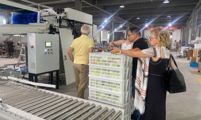 JCSORT fully automatic tomato basket emptying machine successfully installed and operated in Poland