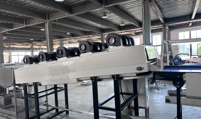 JCSORT potato cleaning sorting line