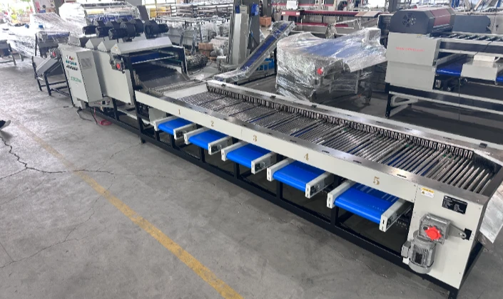 JCSORT Date Size Grader: Leading a New Revolution in Automated Grading of Dates