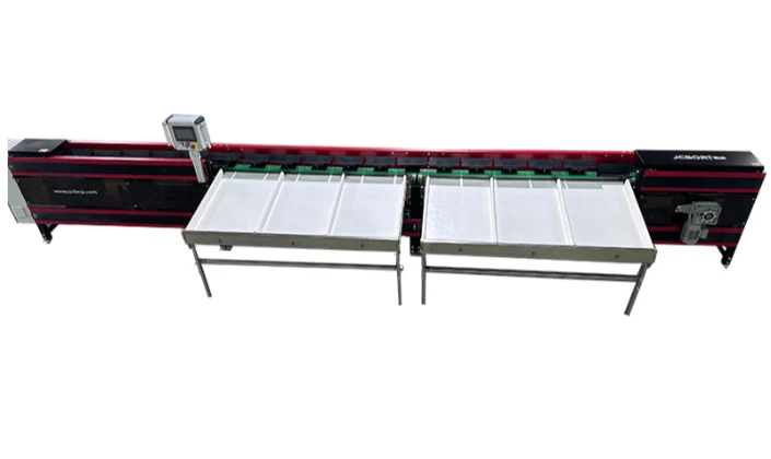 JCSORT Beibei Pumpkin Weight Grader: Accurate Sorting, Enabling High-Quality Pumpkin Processing