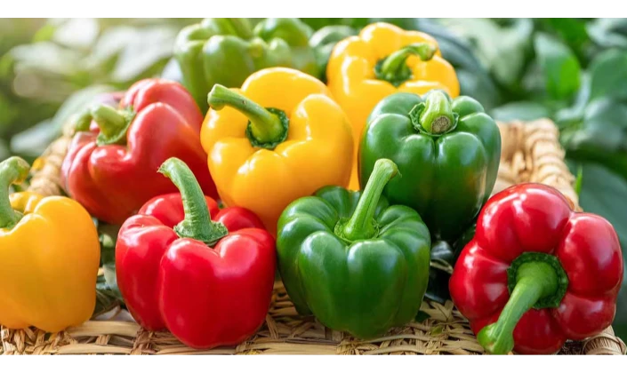 Common bell pepper sorting methods and advantages