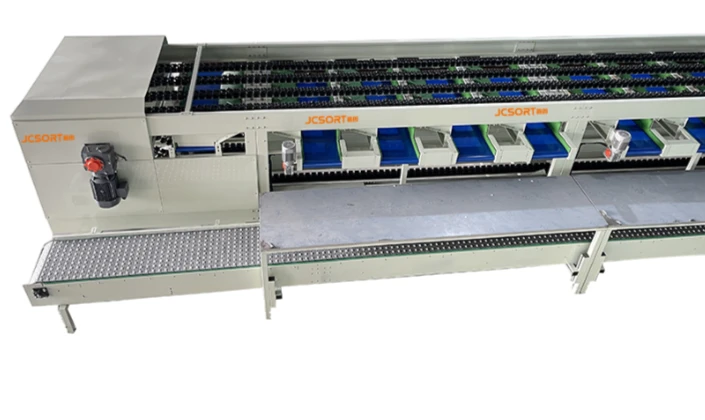 A Complete Overview of the JCSORT Pepper Washing, Drying, and Packaging Line with 4 Channels and Wei