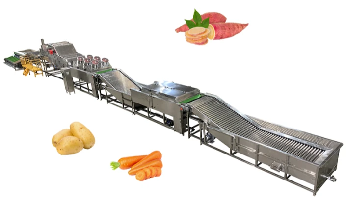 Several significant advantages of choosing JCSORT potato cleaning and grading machine