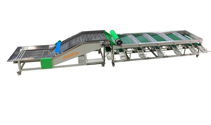 JCSORT Garlic Drum Grader: Injecting Efficient and Precise New Momentum into the Garlic Industry