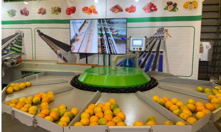 Exposición asiática de frutas y verduras